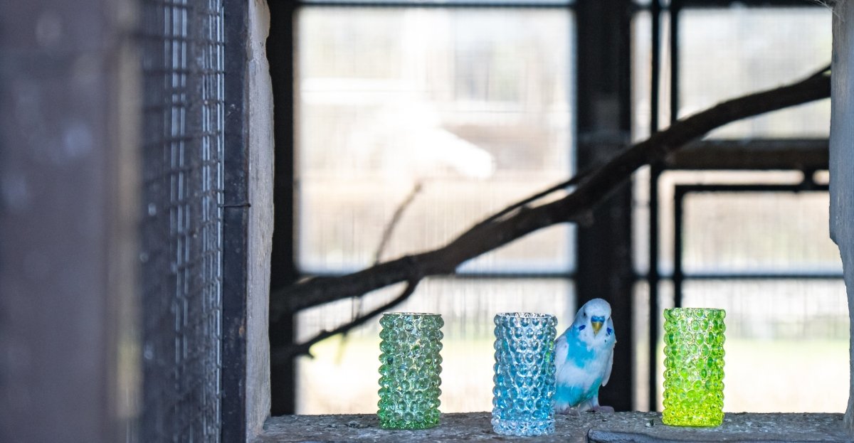 klimchi-hobnail-lot-3-petits-vases-verre-mixte image 6
