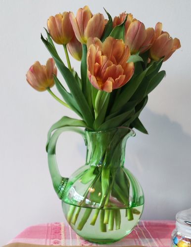 Magnifique vert