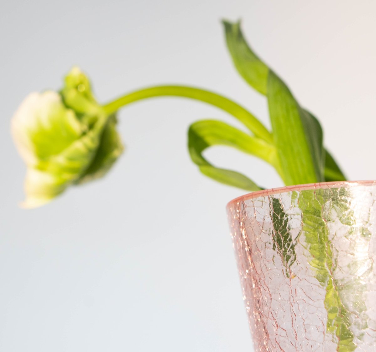 klimchi-felicity-rosy-pink-vase-craquel-rose image 4