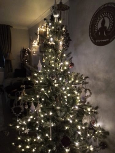 Superbe dans sapin