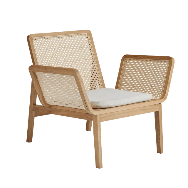norr11-le-roi-fauteuil-lounge-fr-ne-rotin-coussins-camel image 1