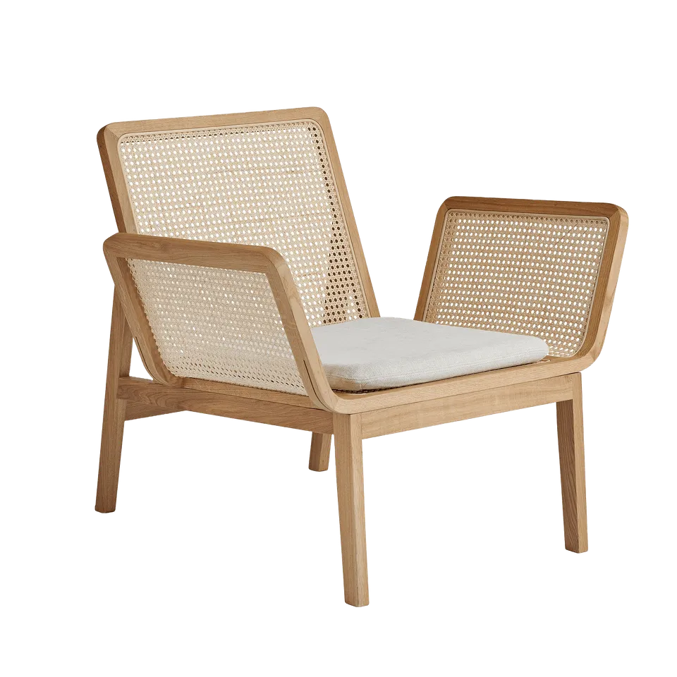 norr11-le-roi-fauteuil-lounge-fr-ne-rotin-coussins-camel image 1