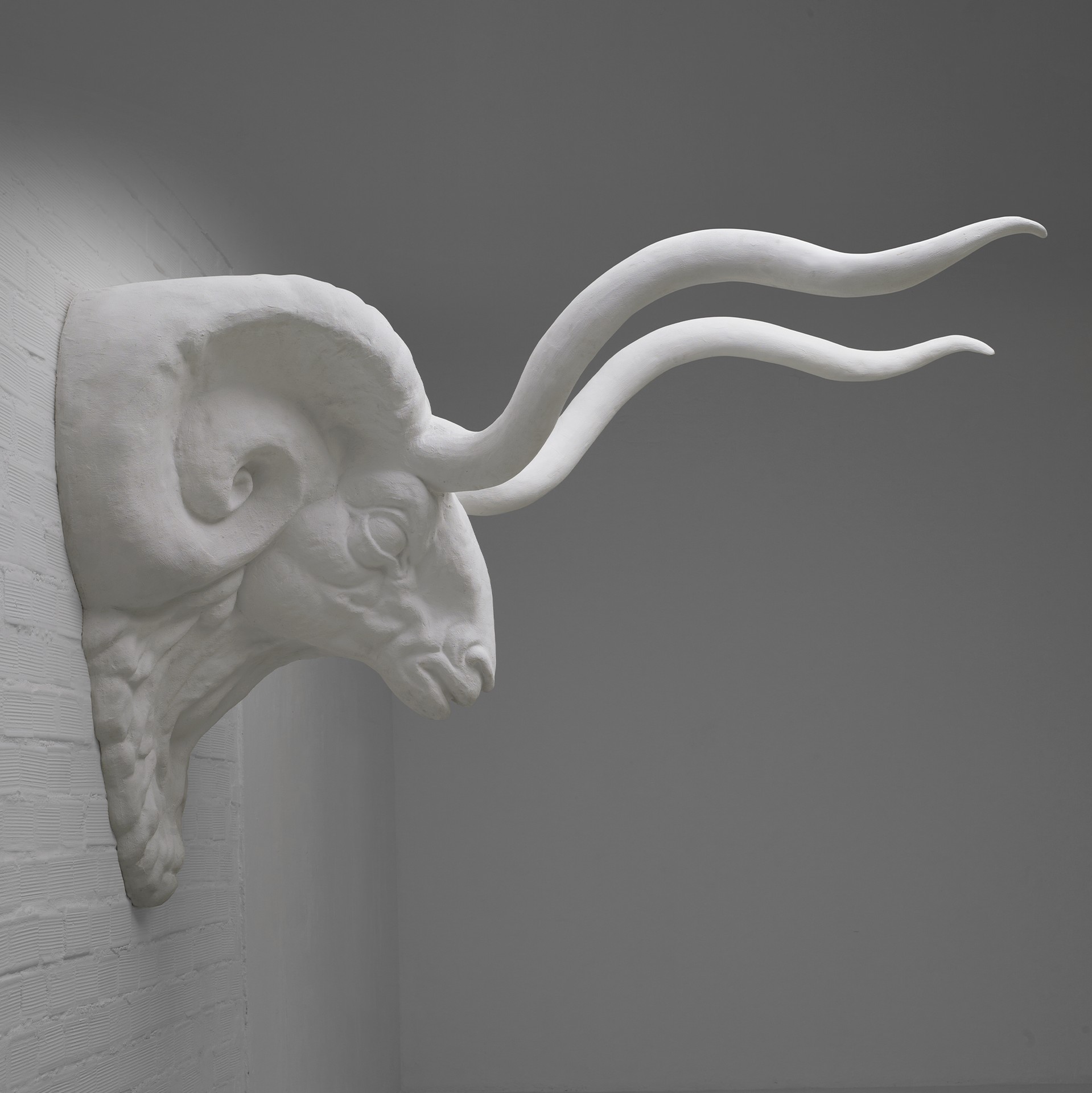 imperfecttolab-uno-t-te-de-b-lier-sculpture-dition-limit-e image 3