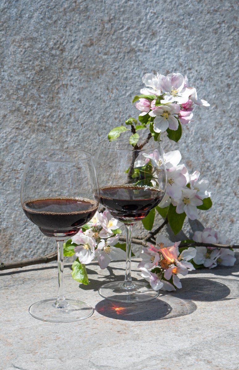 klimchi-shadows-verre-vin-rouge-transparent-lot-2 image 7